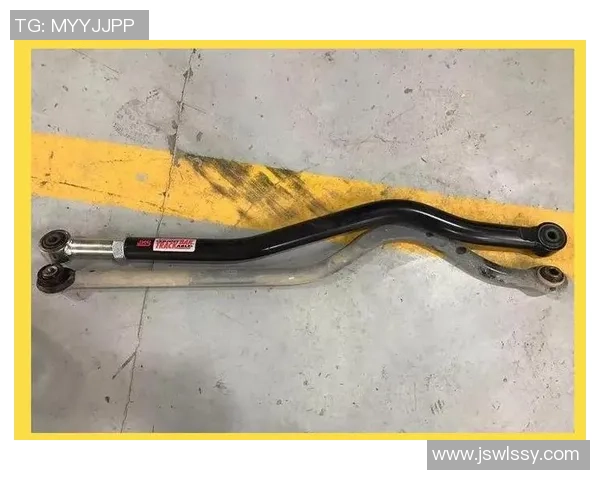 刘敏独家分享排球心得与技巧助你提升球技的全面指南