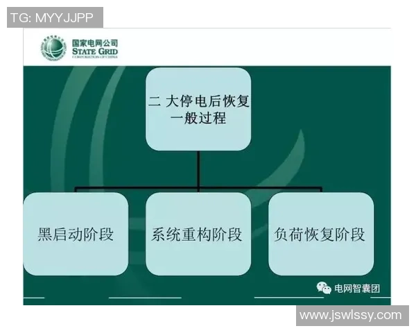 北京极限运动队运营分析与发展策略探讨及其成功与挑战