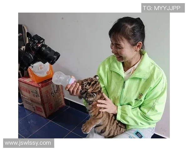 陈静独家分享篮球心得与技巧提升之道助你成为场上明星